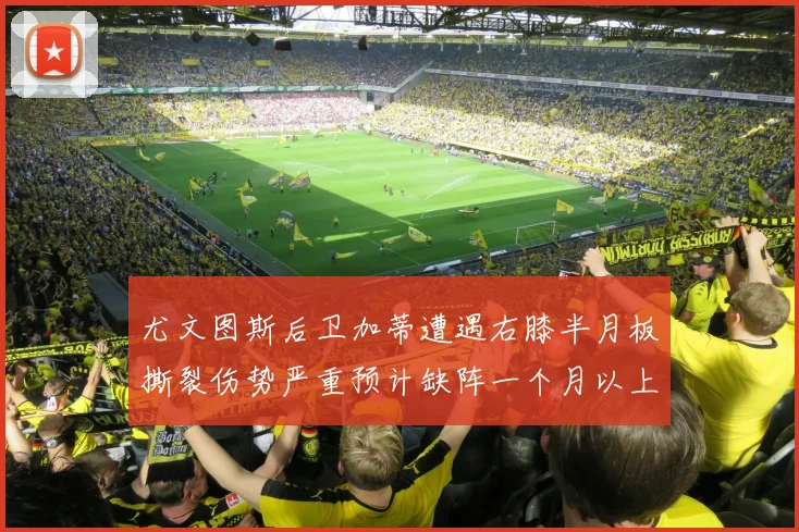 尤文图斯后卫加蒂遭遇右膝半月板撕裂伤势严重预计缺阵一个月以上