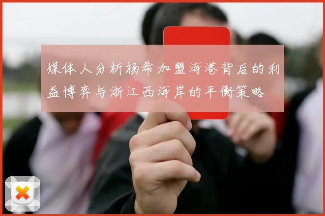 媒体人分析杨希加盟海港背后的利益博弈与浙江西海岸的平衡策略