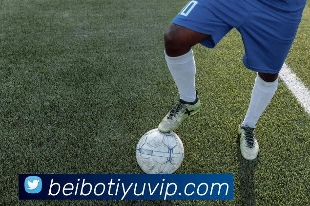 贝博体育平台生态图