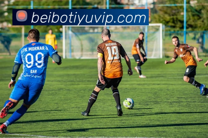 贝博体育APP 封面图